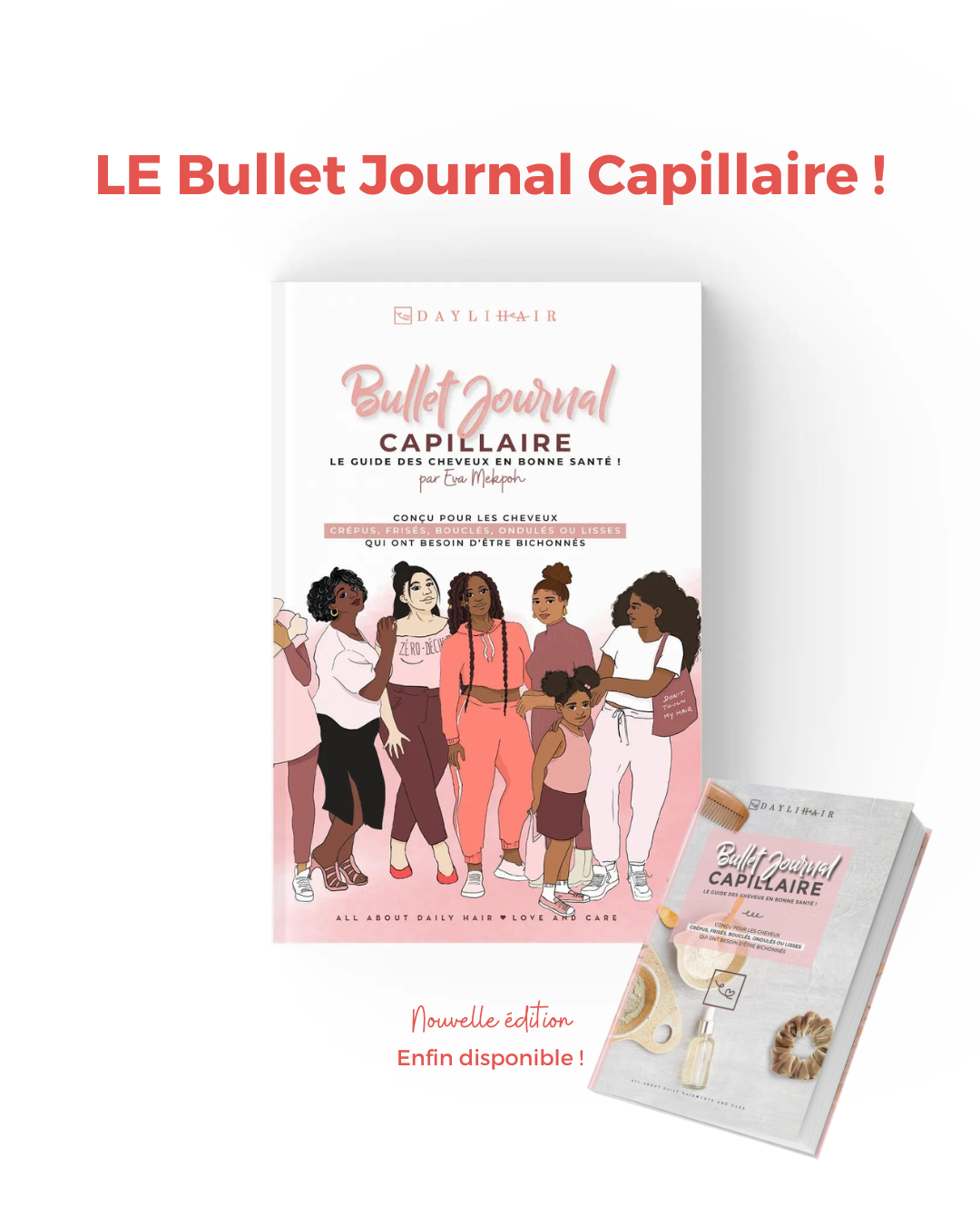 Le “Bullet Journal Capillaire”